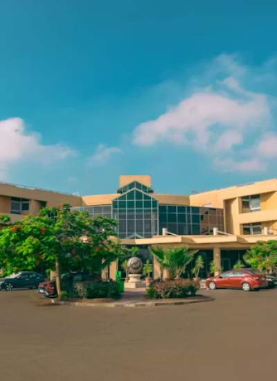 imgi_238_ab7879ce-26e2-45e2-8f1f-287f2bc42518